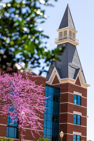 A tower of the Baylor Sciences building framed by green and pink leaves.